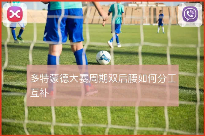 多特蒙德大赛周期双后腰如何分工互补