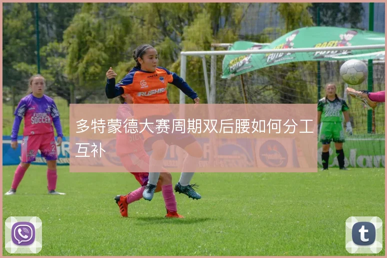 多特蒙德大赛周期双后腰如何分工互补
